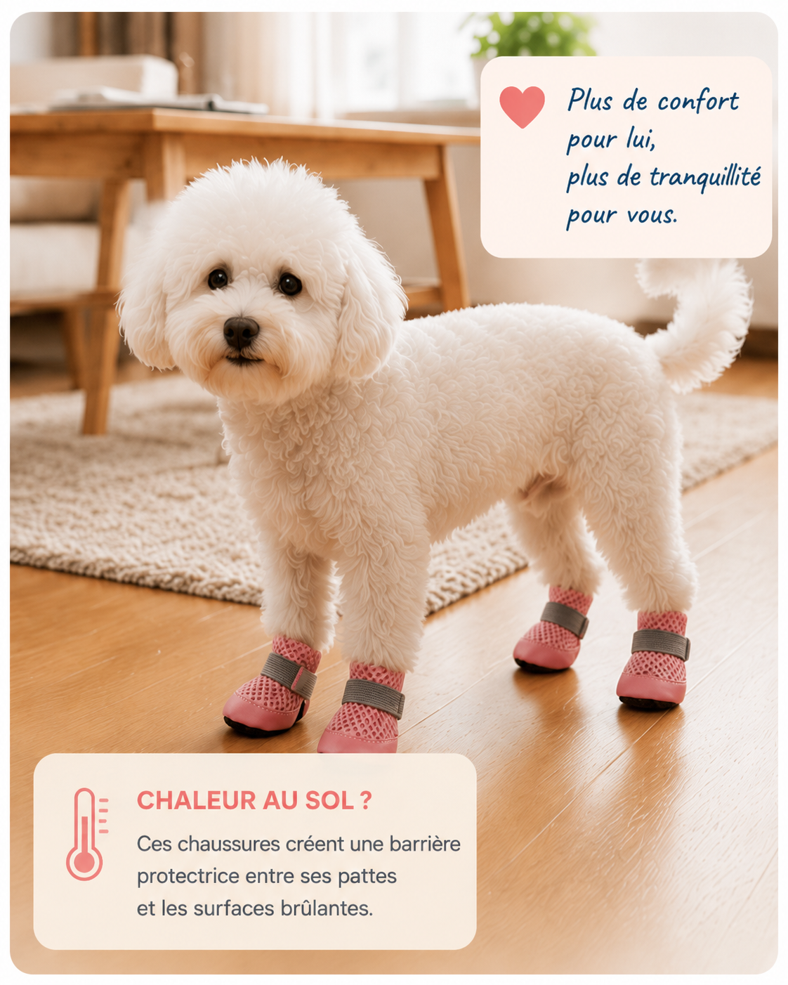 Les Chaussures Rafraîchissantes