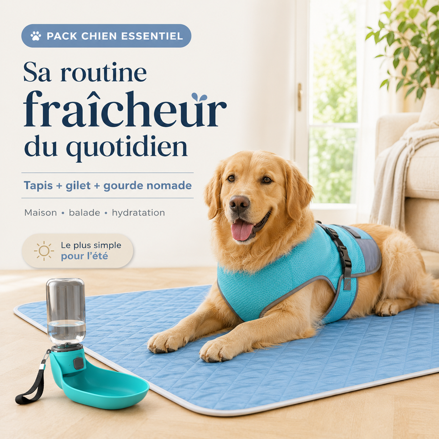 Pack TouTou Essentiel