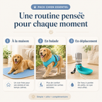 Pack TouTou Essentiel