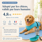 Pack TouTou Essentiel