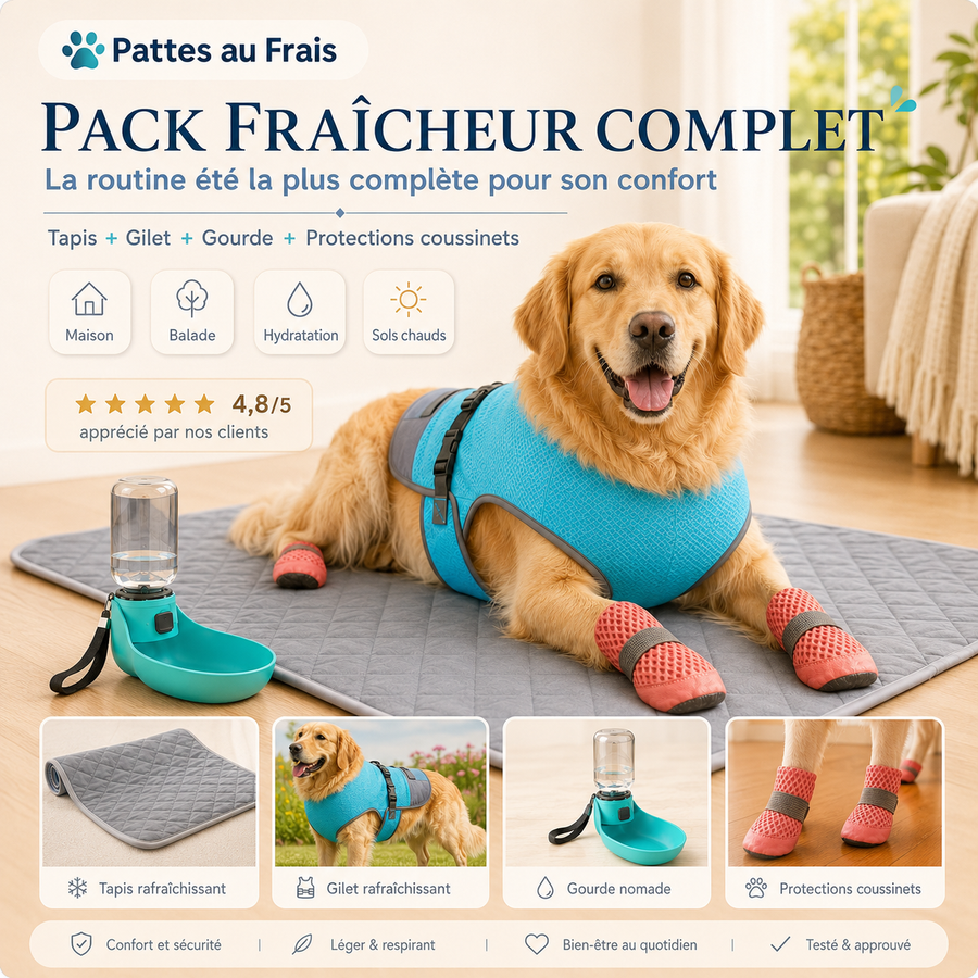 Pack TouTou Intégrale