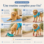 Pack TouTou Intégrale