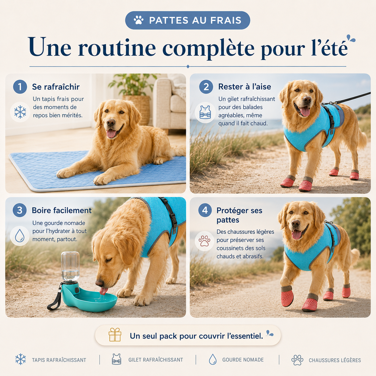 Pack TouTou Intégrale