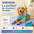 Pack TouTou Intégrale