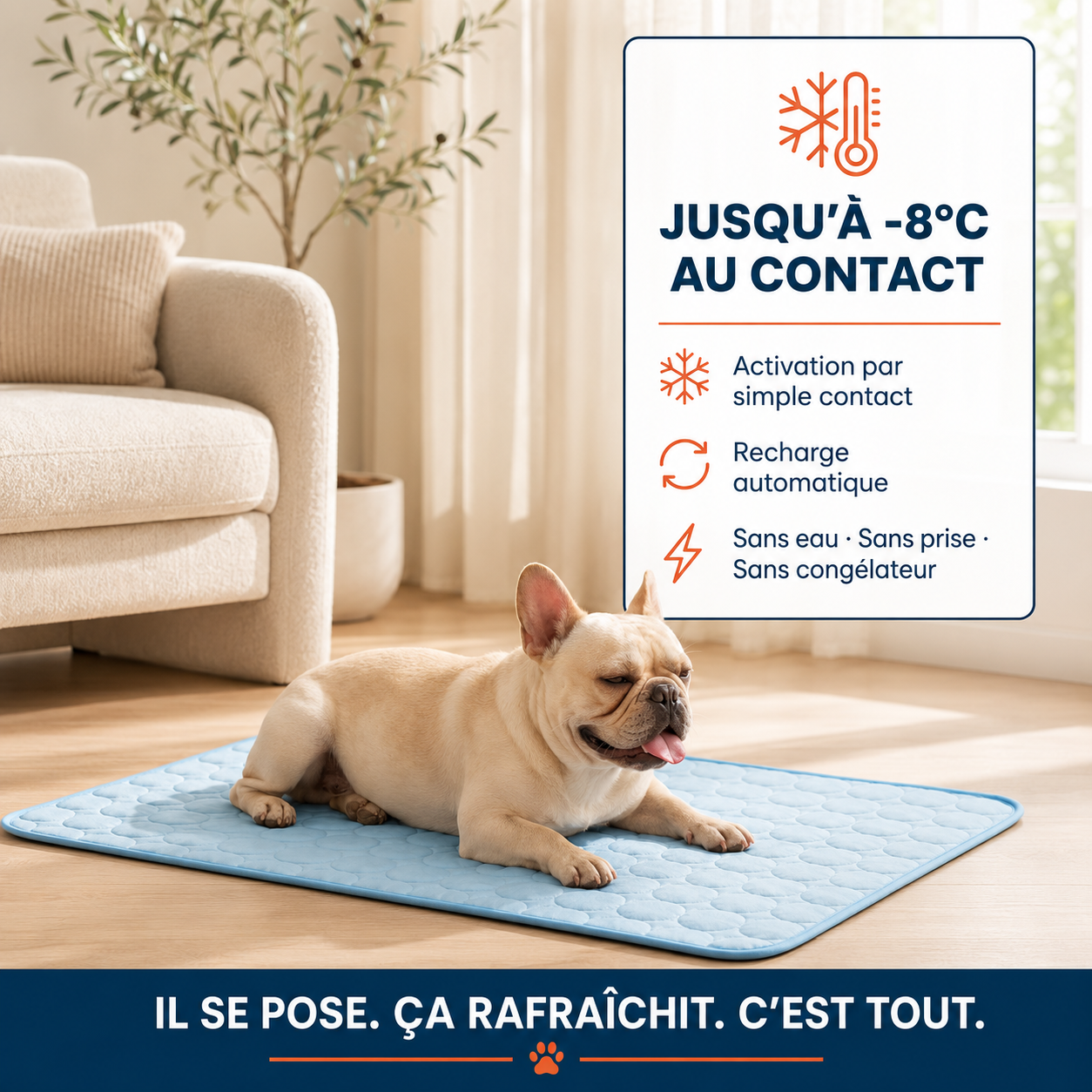 Le Tapis Rafraîchissant