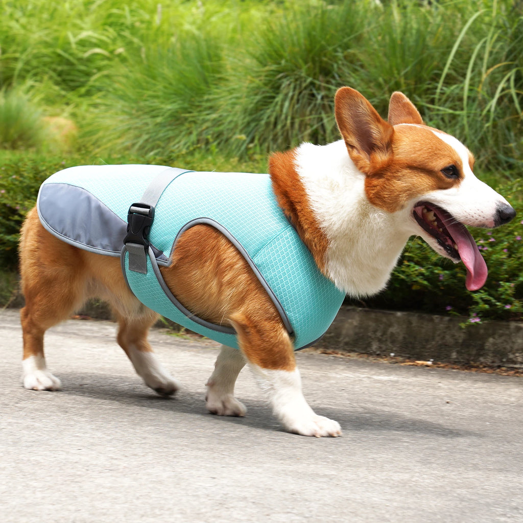 Détail attaches gilet rafraîchissant chien