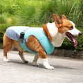 Détail attaches gilet rafraîchissant chien