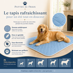 Le Tapis Rafraîchissant
